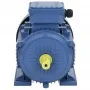 Motor eléctrico trifásico aluminio 3kW/4HP 2 polos 2840 RPM by , Electric motors - Ref: Foro24-148005, Price: 205,78 €, Disco...