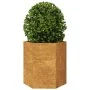 Jardinera hexagonal 46x40x45 cm acero desgastado by , Pots and planters - Ref: Foro24-851120, Price: 51,68 €, Discount: %