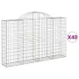 Cestas gaviones 40 uds forma de arco hierro 200x30x120/140 cm by , Pots and planters - Ref: Foro24-3146149, Price: 3,00 €, Di...