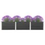 Arriate de WPC gris 300x50x54 cm by , Pots and planters - Ref: Foro24-318099, Price: 375,51 €, Discount: %
