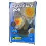 Ubbink Tierra para nenúfares 10 L 1373118 by , Accessories for ponds and fountains - Ref: Foro24-419706, Price: 26,70 €, Disc...