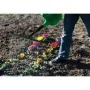 Nature Kit de regadera verde 13 L 6071425 by , Watering cans - Ref: Foro24-421348, Price: 39,74 €, Discount: %
