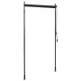 Estor enrollable de exterior gris antracita 100x270 cm by , Awnings - Ref: Foro24-145935, Price: 58,46 €, Discount: %