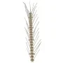 Sets de 5 hileras de pinchos contra pájaros y palomas 6 uds 10m by , Animal repellents - Ref: Foro24-149128, Price: 20,81 €, ...