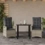 Set comedor de jardín 3 pzas cojines ratán sintético gris claro von , Gartensets - Ref: Foro24-3213284, Preis: 330,32 €, Raba...