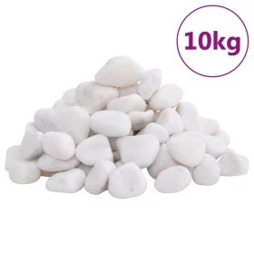 Guijarros pulidos blancos 10 kg 2-5 cm de , Decoración de acuarios - Ref: Foro24-155329, Precio: 34,36 €, Descuento: %