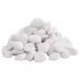 Guijarros pulidos blancos 10 kg 2-5 cm de , Decoración de acuarios - Ref: Foro24-155329, Precio: 34,36 €, Descuento: %