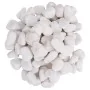 Guijarros pulidos blancos 10 kg 2-5 cm de , Decoración de acuarios - Ref: Foro24-155329, Precio: 34,36 €, Descuento: %