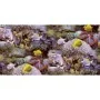 Noordwand Papel Good Vibes Coral and Tropical Fish amarillo morado by , Painted paper - Ref: Foro24-440437, Price: 19,78 €, D...