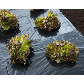 Nature Lona de suelo negra 4x6 m 50µ von , Gartenzubehör - Ref: Foro24-446373, Preis: 20,90 €, Rabatt: %