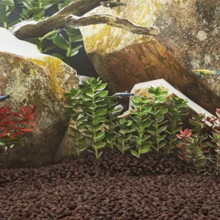 Rocas volcánicas rojas 10 kg 5-8 mm de , Decoración de acuarios - Ref: Foro24-155309, Precio: 32,94 €, Descuento: %