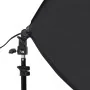 Lámparas de estudio profesional 2 uds acero negro 40x60 cm de , Flashes e iluminaciones de estudio - Ref: Foro24-190216, Prec...