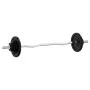 Juego de barra con discos 30 kg hierro fundido y acero cromado by , free weight - Ref: Foro24-93628, Price: 132,12 €, Discoun...