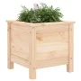 Jardinera madera maciza de pino 40x40x39 cm de , Maceteros y jardineras - Ref: Foro24-825247, Precio: 49,40 €, Descuento: %