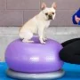FitPAWS Pelota de equilibrio para mascotas TRAX Donut morado 55 cm von , Trainingsgeräte für Haustiere - Ref: Foro24-428432, ...