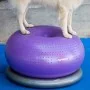 FitPAWS Pelota de equilibrio para mascotas TRAX Donut morado 55 cm von , Trainingsgeräte für Haustiere - Ref: Foro24-428432, ...