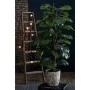 Emerald Monstera artificial sobre un palo 150 cm by , artificial flora - Ref: Foro24-423628, Price: 137,01 €, Discount: %