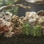 Piedras de dragón mezcla de colores 25 kg 10-30 cm by , Aquarium decoration - Ref: Foro24-3217171, Price: 76,79 €, Discount: %