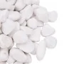 Guijarros pulidos blancos 10 kg 2-5 cm by , Aquarium decoration - Ref: Foro24-3217192, Price: 36,58 €, Discount: %