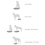 FitPAWS Disco de equilibrio para mascotas color frutos rojos 56 cm by , Pet Exercise Equipment - Ref: Foro24-433834, Price: 1...