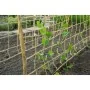 Nature Malla para plantas enredaderas yute natural 1,8x5 m de , Accesorios de jardinería - Ref: Foro24-447515, Precio: 27,84 ...