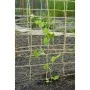 Nature Malla para plantas enredaderas yute natural 1,8x5 m de , Accesorios de jardinería - Ref: Foro24-447515, Precio: 27,84 ...