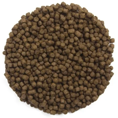 Ubbink Comida para peces Heiko Koi Energy Menu 3 mm 3 l von , Futter für Fische - Ref: Foro24-447548, Preis: 31,56 €, Rabatt: %