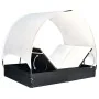 Tumbona doble con toldo de ratán sintético negro de , Tumbonas - Ref: Foro24-42665, Precio: 260,38 €, Descuento: %
