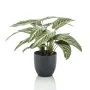 Emerald Calathea artificial Zebrina en maceta 38 cm by , artificial flora - Ref: Foro24-444640, Price: 38,91 €, Discount: %