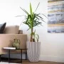 Capi Jarrón elegante Groove marfil 34x46 cm de , Maceteros y jardineras - Ref: Foro24-445498, Precio: 80,48 €, Descuento: %
