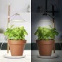 Smartwares Lámpara de cultivo para jardín LED 9W blanco von , Lampen - Ref: Foro24-444944, Preis: 32,36 €, Rabatt: %
