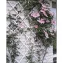 Nature Enrejado de jardín 50x150 cm PVC blanco 6040701 von , Pergolen, Bögen und Gartenspaliere - Ref: Foro24-409348, Preis: ...
