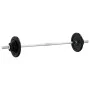 Juego de barra con discos 30 kg hierro fundido de , Peso libre - Ref: Foro24-93627, Precio: 124,86 €, Descuento: %