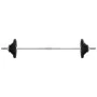 Juego de barra con discos 30 kg hierro fundido de , Peso libre - Ref: Foro24-93627, Precio: 124,86 €, Descuento: %