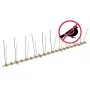 Set de 2 hileras de pinchos contra pájaros y palomas 20 uds 10m | Foro24.es | Tu tienda online para hogar, jardín y más Foro24.es