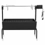 Espetón de asado/barbacoa eléctrica de acero inoxidable de , Barbacoas - Ref: Foro24-49326, Precio: 253,60 €, Descuento: %