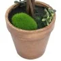 Plantas de boj artificial 2 uds forma bola maceta verde 33 cm | Foro24.es | Tu tienda online para hogar, jardín y más Foro24.es