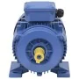 Motor eléctrico trifásico aluminio 2,2kW/3HP 2 polos 2840 RPM de , Motores eléctricos - Ref: Foro24-148004, Precio: 163,75 €,...