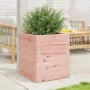 Jardinera de madera maciza Douglas 40x40x46 cm de , Maceteros y jardineras - Ref: Foro24-3282402, Precio: 87,68 €, Descuento: %