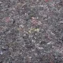 Felpa antideslizante para pintores 2532 cm 180 g/m² gris von , Schutzfolien und -streifen für Böden - Ref: Foro24-4106133, Pr...