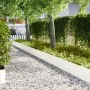 bordes de césped 50 pcs Blanco 100x0.5x30 cm Plástico | Foro24.es | Tu tienda online para hogar, jardín y más Foro24.es
