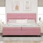 Cama Box Spring con colchón Rosa 200x200 cm de Terciopelo by , Beds and slatted bases - Ref: Foro24-3339859, Price: 624,21 €,...