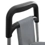 Carro de Compras con Ruedas Gris 35 L | Foro24.es | Tu tienda online para hogar, jardín y más Foro24.es