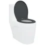 Asiento de inodoro de liberación rápida con cierre suave en duroplasto antracita by , Toilet and bidet seats - Ref: Foro24-42...