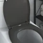 Asiento de inodoro de liberación rápida con cierre suave en duroplasto antracita by , Toilet and bidet seats - Ref: Foro24-42...