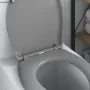 Asiento de Inodoro de Liberación Rápida con Cierre Suave Duroplast Gris | Foro24.es | Tu tienda online para hogar, jardín y más Foro24.es