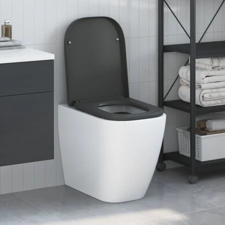 Asiento de inodoro de liberación rápida con cierre suave Duroplast antracita | Foro24.es | Tu tienda online para hogar, jardín y más Foro24.es