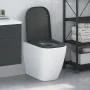 Asiento de inodoro de liberación rápida con cierre suave Duroplast antracita | Foro24.es | Tu tienda online para hogar, jardín y más Foro24.es