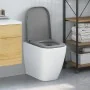 Asiento de inodoro de liberación rápida con cierre suave Duroplast Gris von , Toiletten- und Bidetsitze - Ref: Foro24-4200235...
