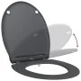 Asiento de Inodoro de Liberación Rápida con Cierre Suave Duroplast Antracita by , Toilet and bidet seats - Ref: Foro24-420023...